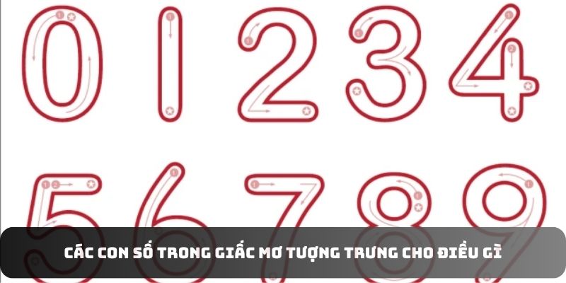 Các con số trong giấc mơ tượng trưng cho điều gì