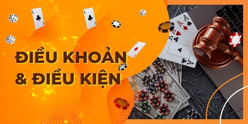 Dành cho những ai chưa hiểu rõ về điều khoản điều kiện