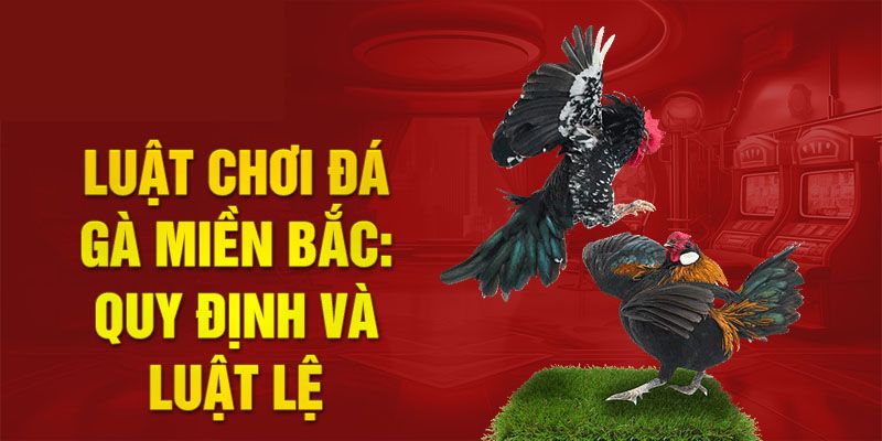 Giới thiệu đặc điểm luật đá gà miền Bắc